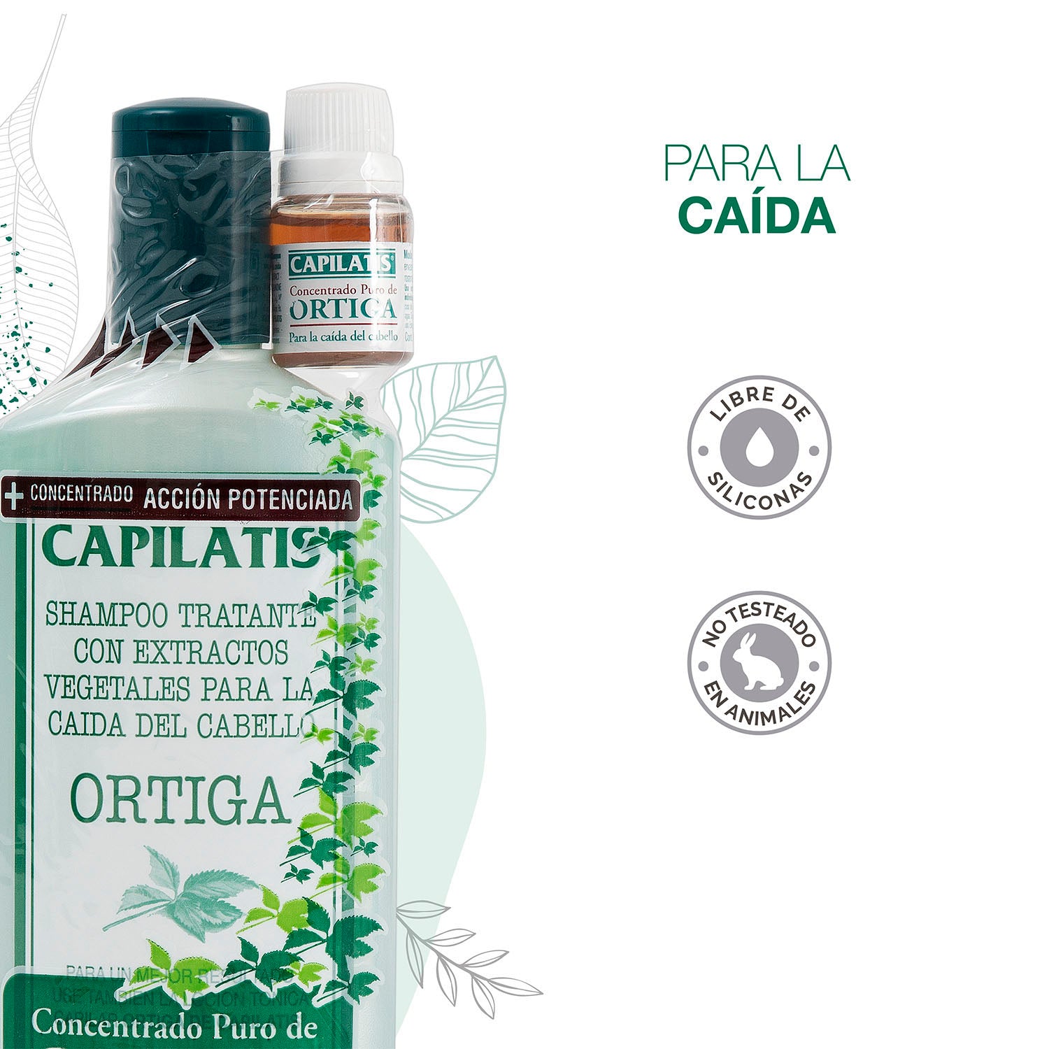 Shampoo Capilatis con Concentrado Puro Ortiga, Línea Ortiga - Image 2