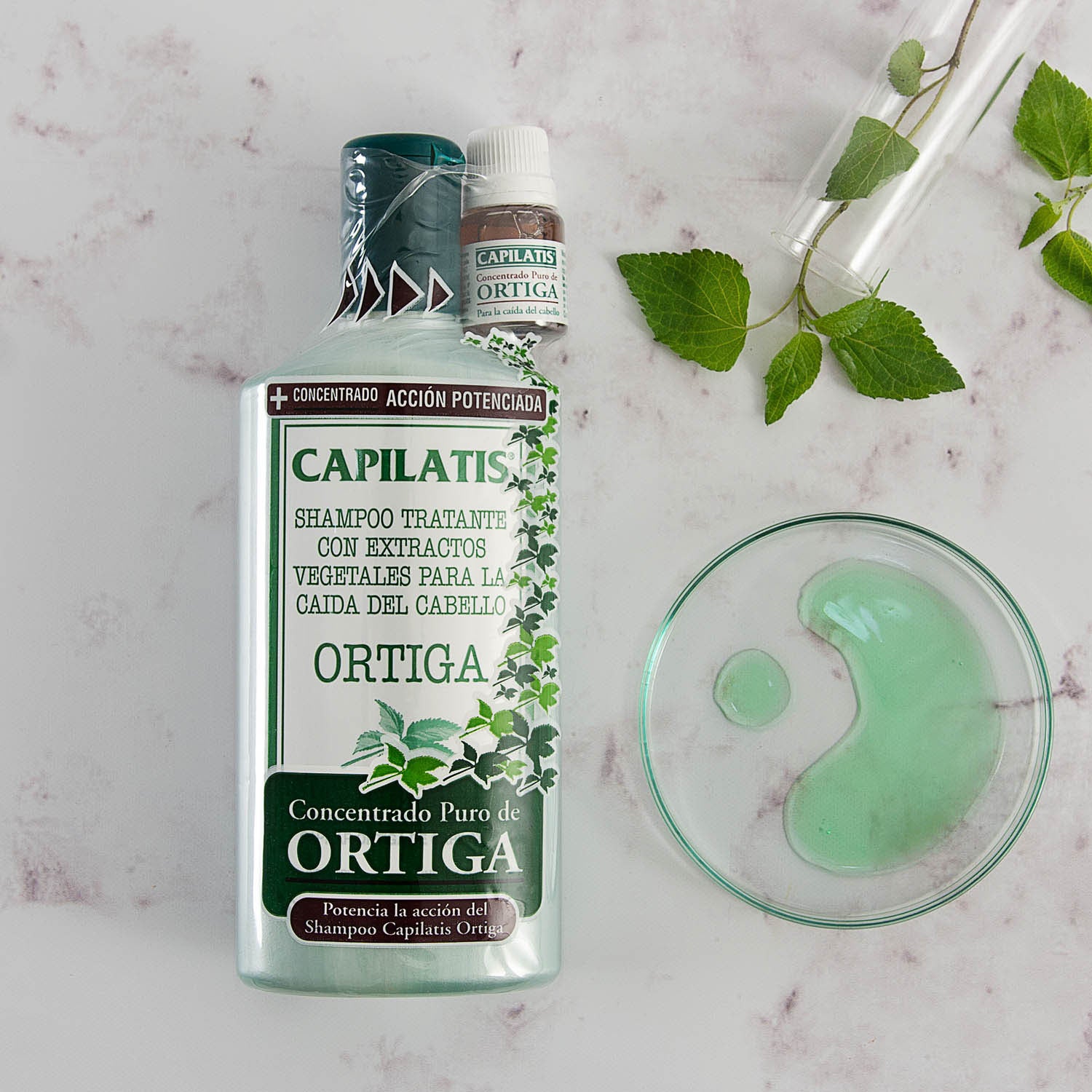 Shampoo Capilatis con Concentrado Puro Ortiga, Línea Ortiga - Image 1
