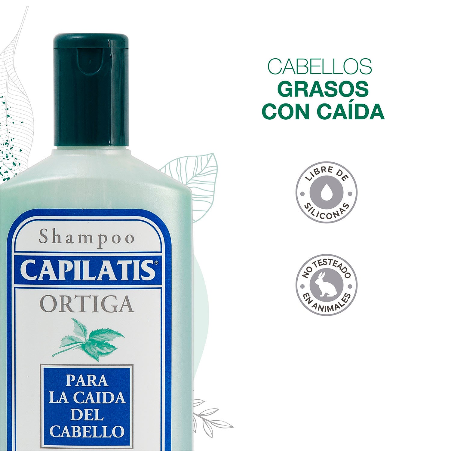 Shampoo Ortiga con Salvia, Línea Ortiga - Image 2