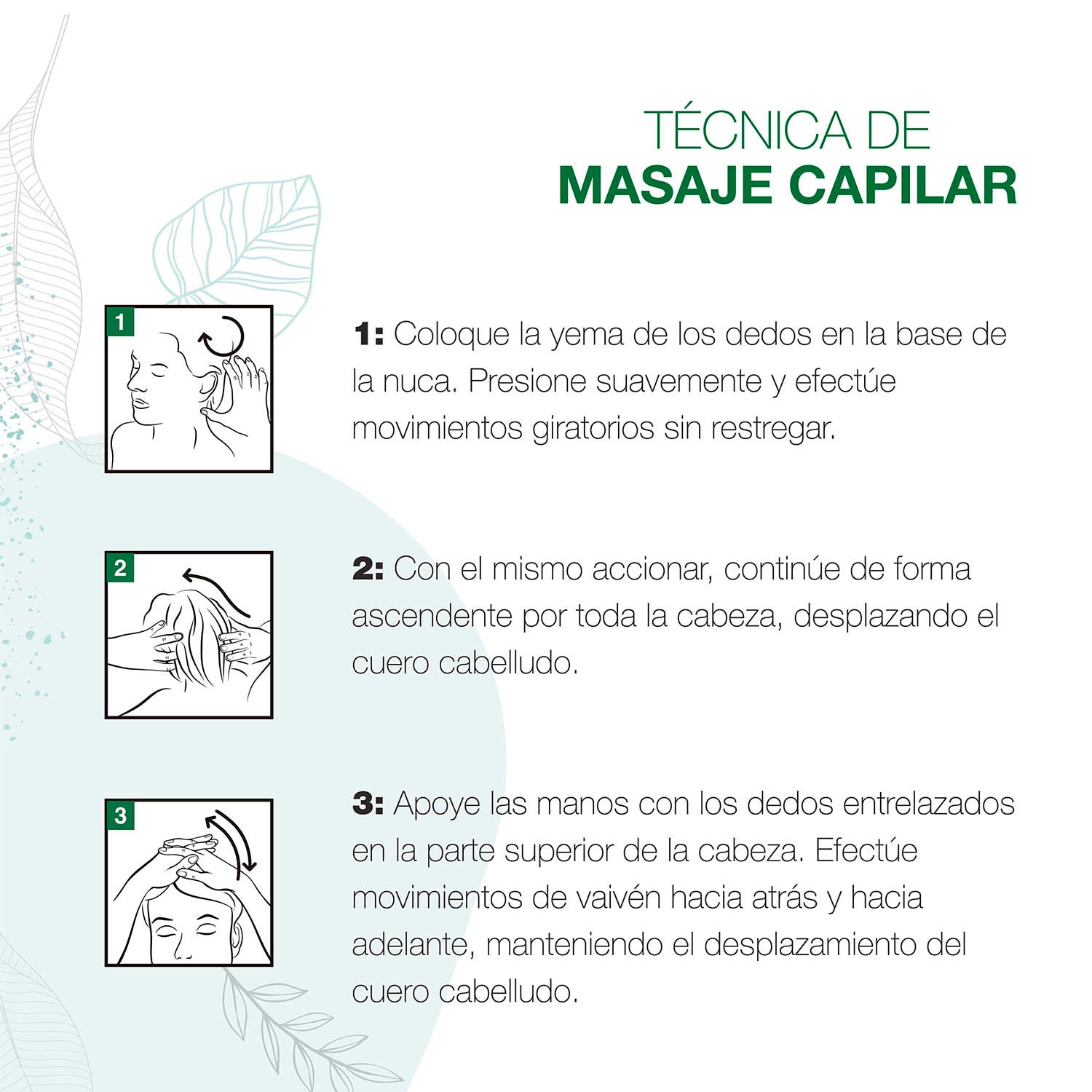Shampoo Tratante con Ortiga, Jarilla y Cafeína, Línea Anti-Caída - Image 2