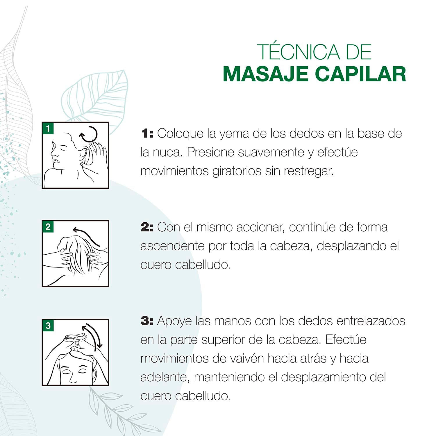 Loción Capilar Anti-Caída con Ortiga, Jarilla y Cafeína, Línea Anti-Caída - Image 2