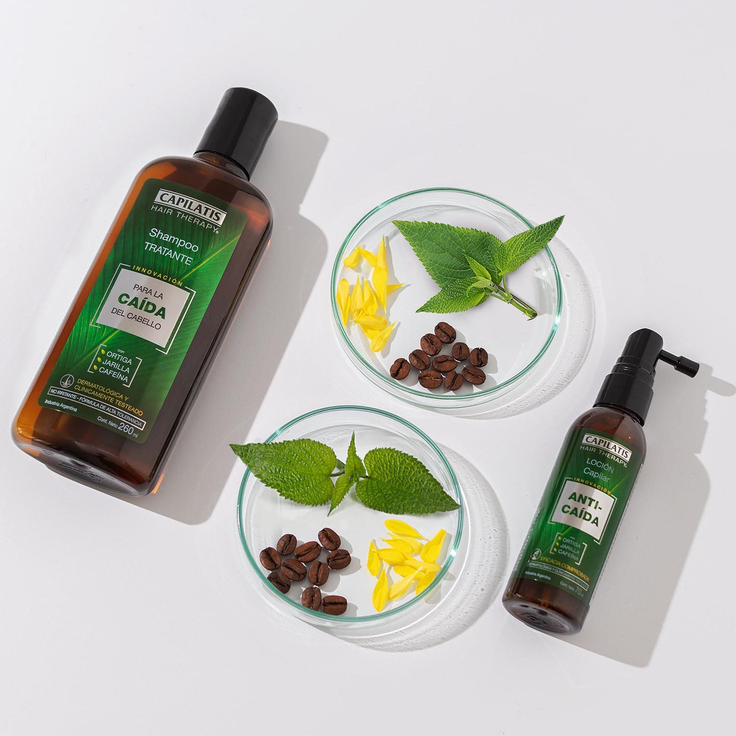 Loción Capilar Anti-Caída con Ortiga, Jarilla y Cafeína, Línea Anti-Caída - Image 3