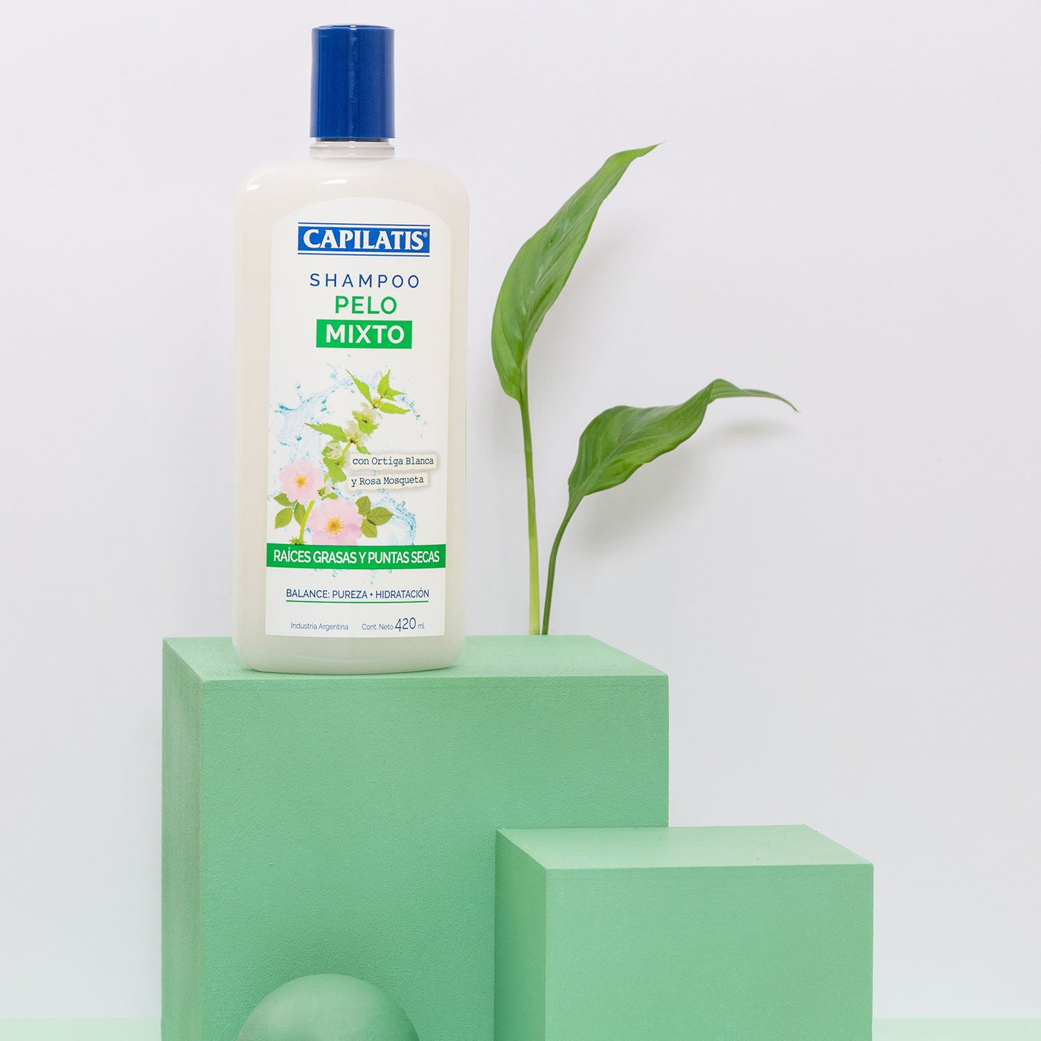 Shampoo Pelo Mixto, Línea Botánica - Image 1