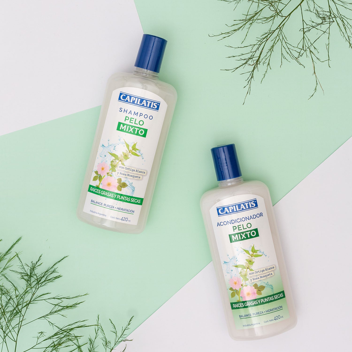 Shampoo Pelo Mixto, Línea Botánica - Image 2