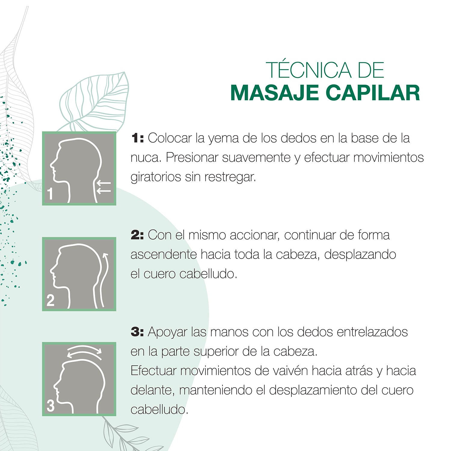 Shampoo Engrosador Ortiga con extracto de Cardo, Línea Ortiga - Image 3