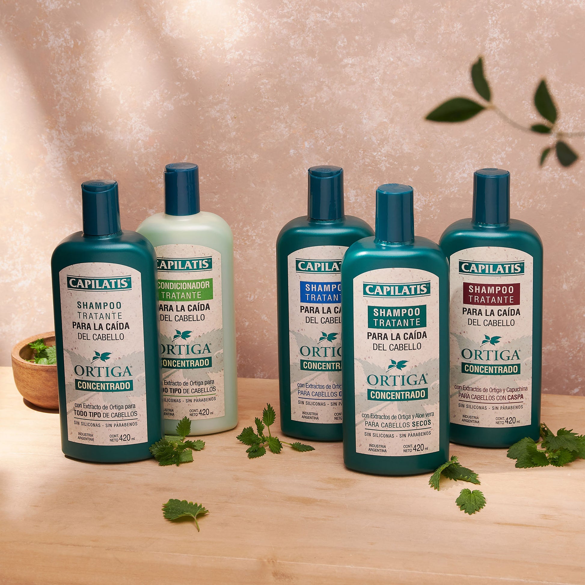 Shampoo Tratante Ortiga Concentrado para todo tipo de cabellos, Línea Ortiga Concentrado - Image 2