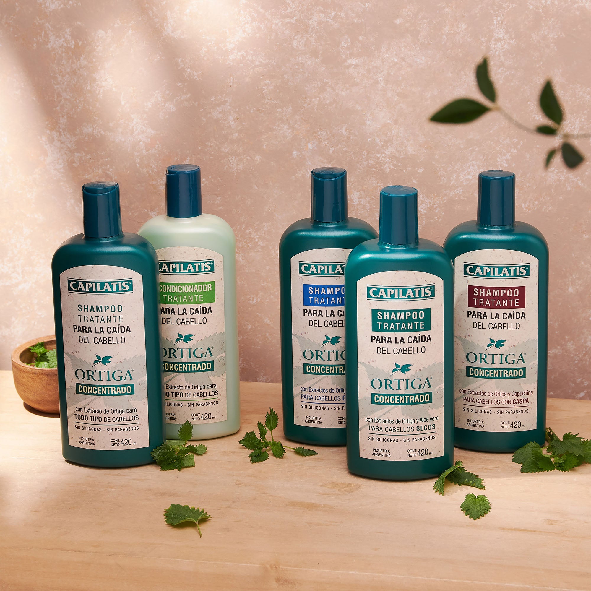 Shampoo Tratante Ortiga Concentrado para todo tipo de cabellos, Línea Ortiga Concentrado - Image 2