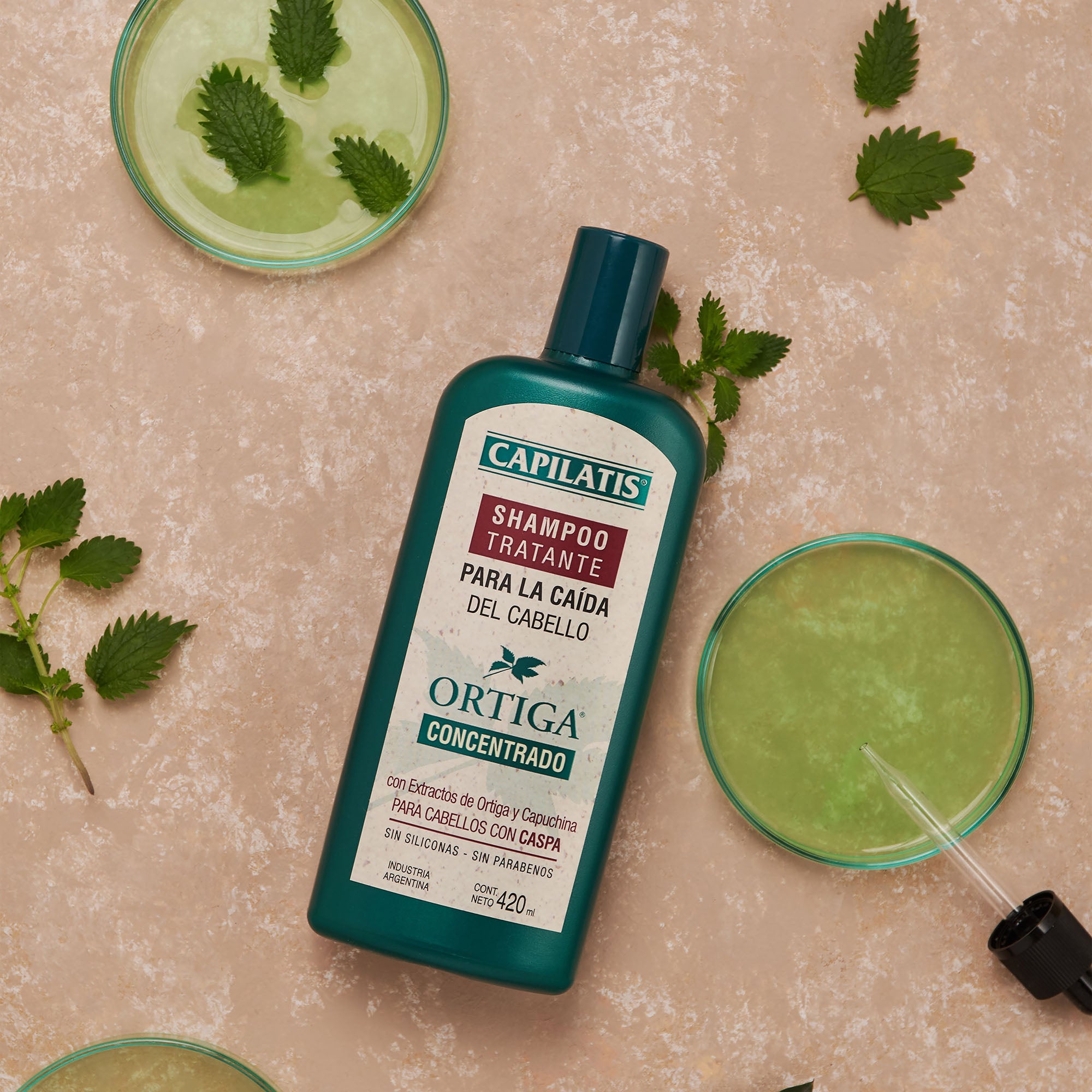 Shampoo Tratante Ortiga Concentrado para Cabellos con Caspa, Línea Ortiga Concentrado - Image 1