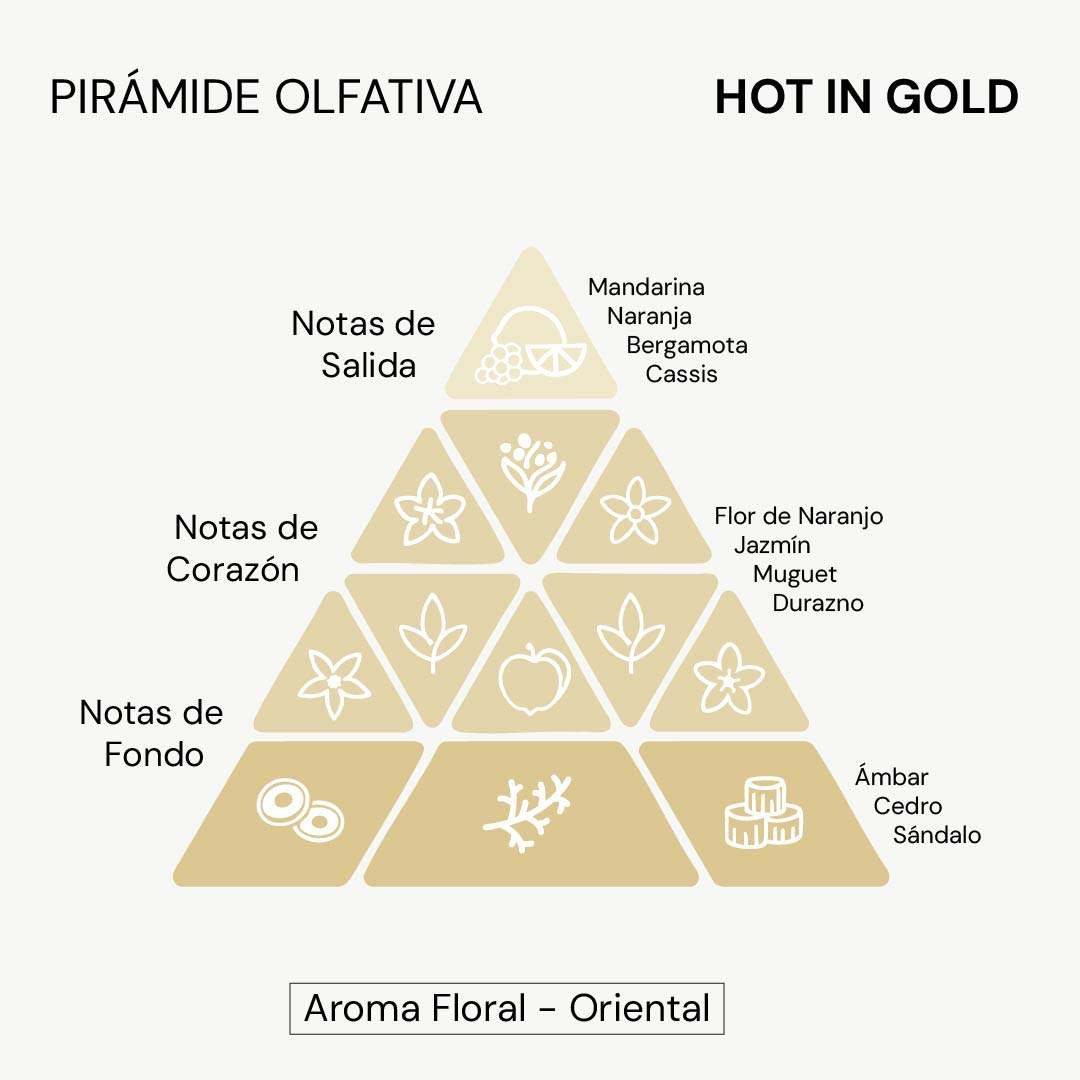 Perfume Mujer Hot in Gold EDP 80ml