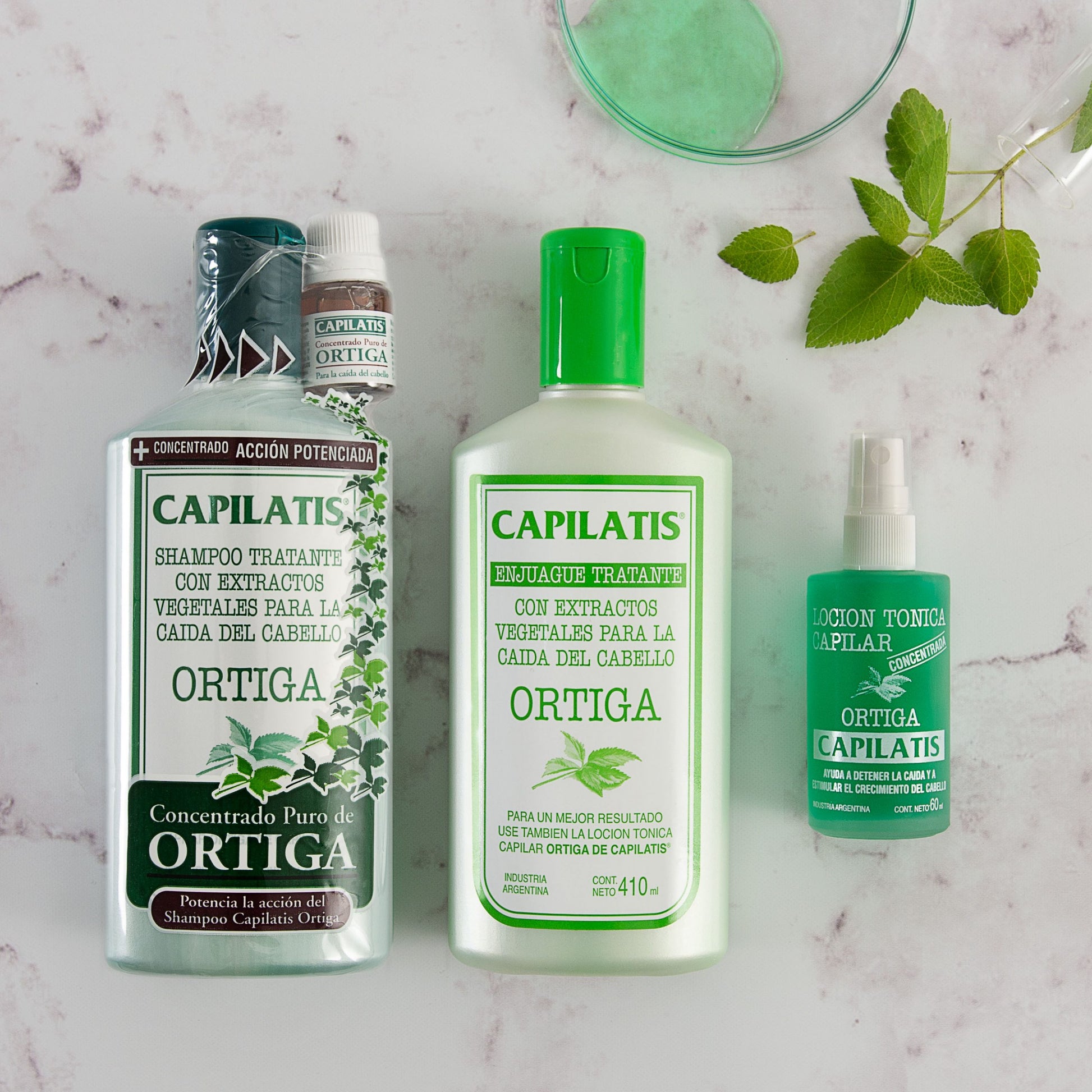 Shampoo Capilatis con Concentrado Puro Ortiga, Línea Ortiga - Image 3